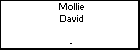 Mollie David